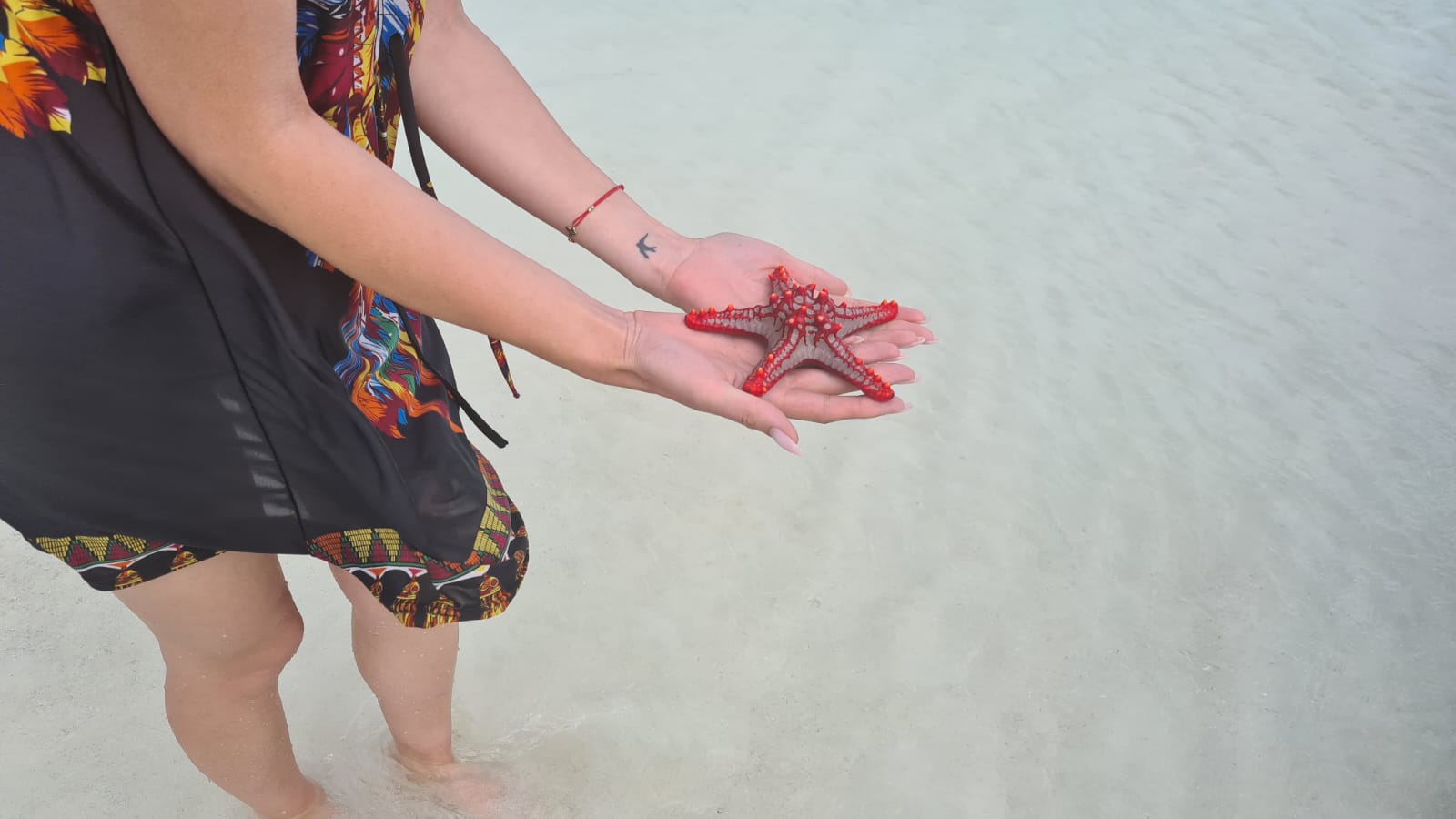 Girl Holding a Startfish At Zanzibar Island