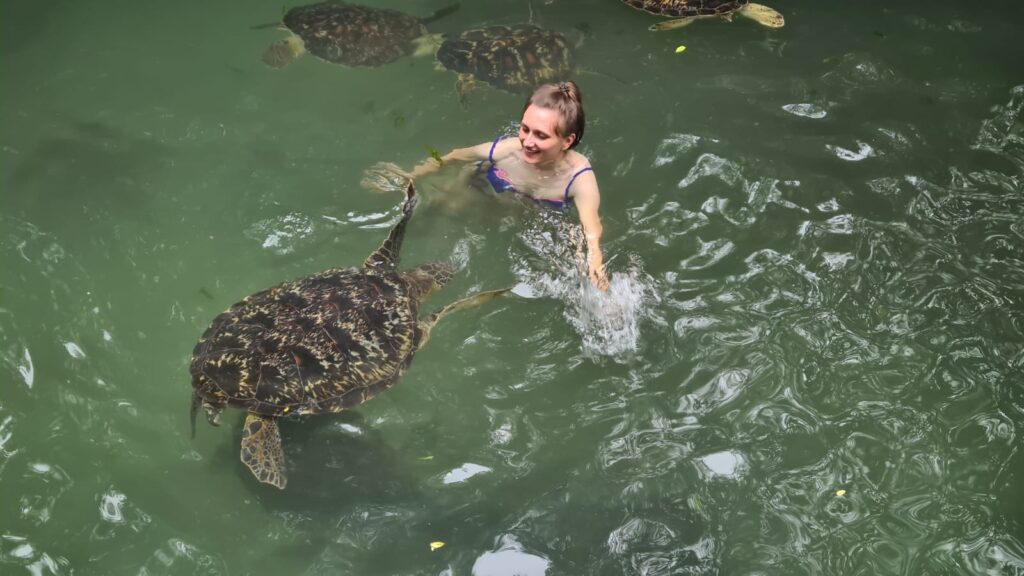 Zanzibar Turtle Sanctuary