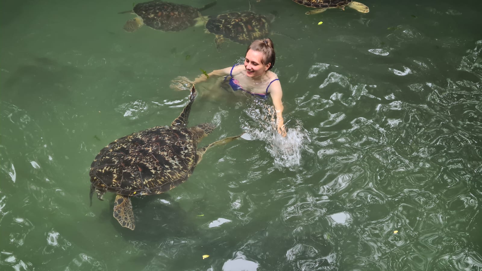 Zanzibar Turtle Sanctuary