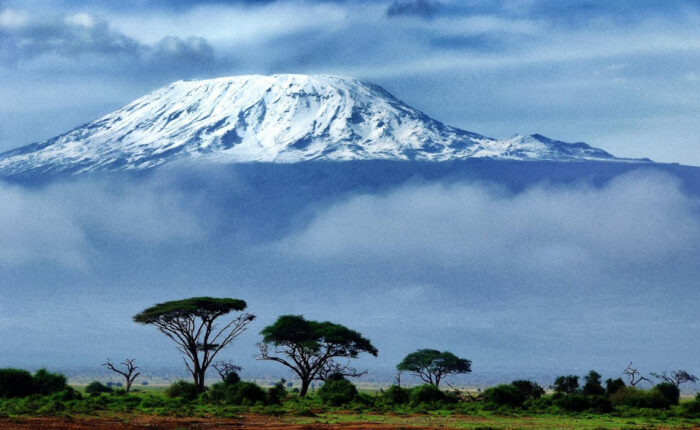 Mount Kilimanjaro View from National Park