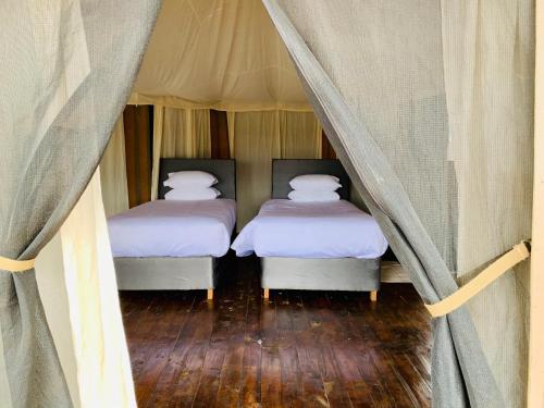 Serengeti Tented Accommodation Tanzania Safari Vacation Packages2.jpg