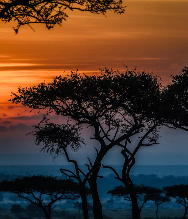 Sunset at the Serengeti