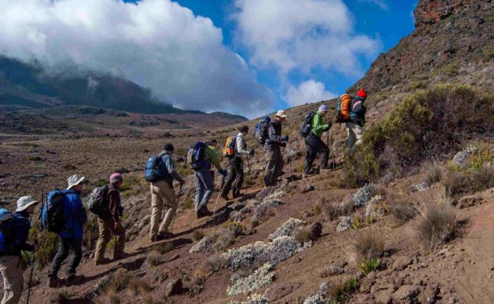 Tanzania Lemosho Route 8 Days Itinerary, Price And Reviews Mount Kilimanjaro Tour Packages