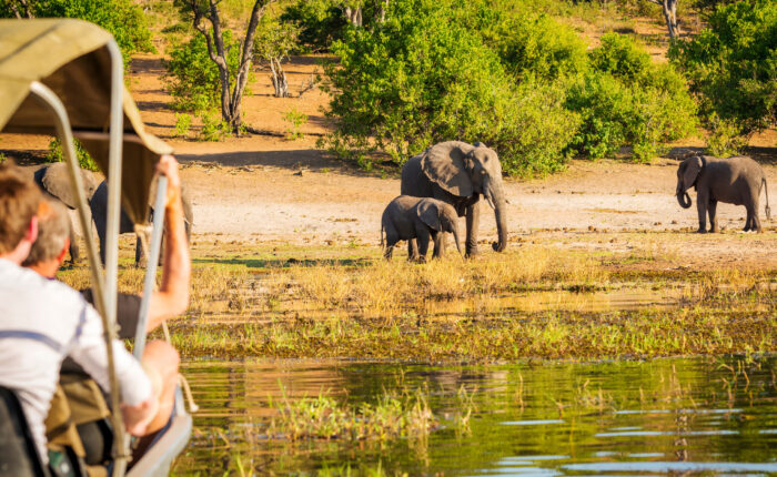 Tourists in an Open Safari Vehicle Watching 3 Elephants Drinking from Water Hole