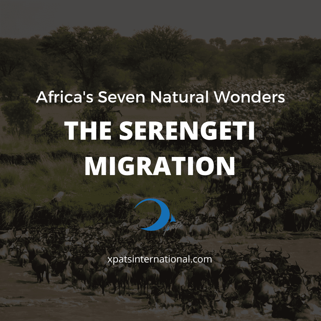 Africa's Seven Natural Wonders_THE SERENGETI MIGRATION RESIZED