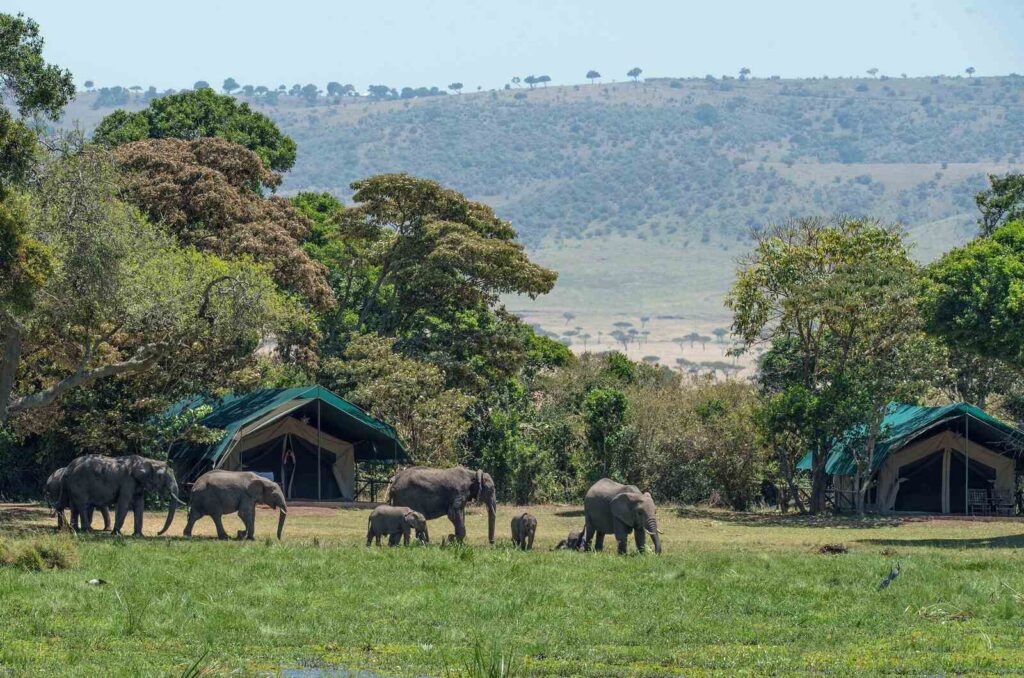 Nomad Tarangire Camps