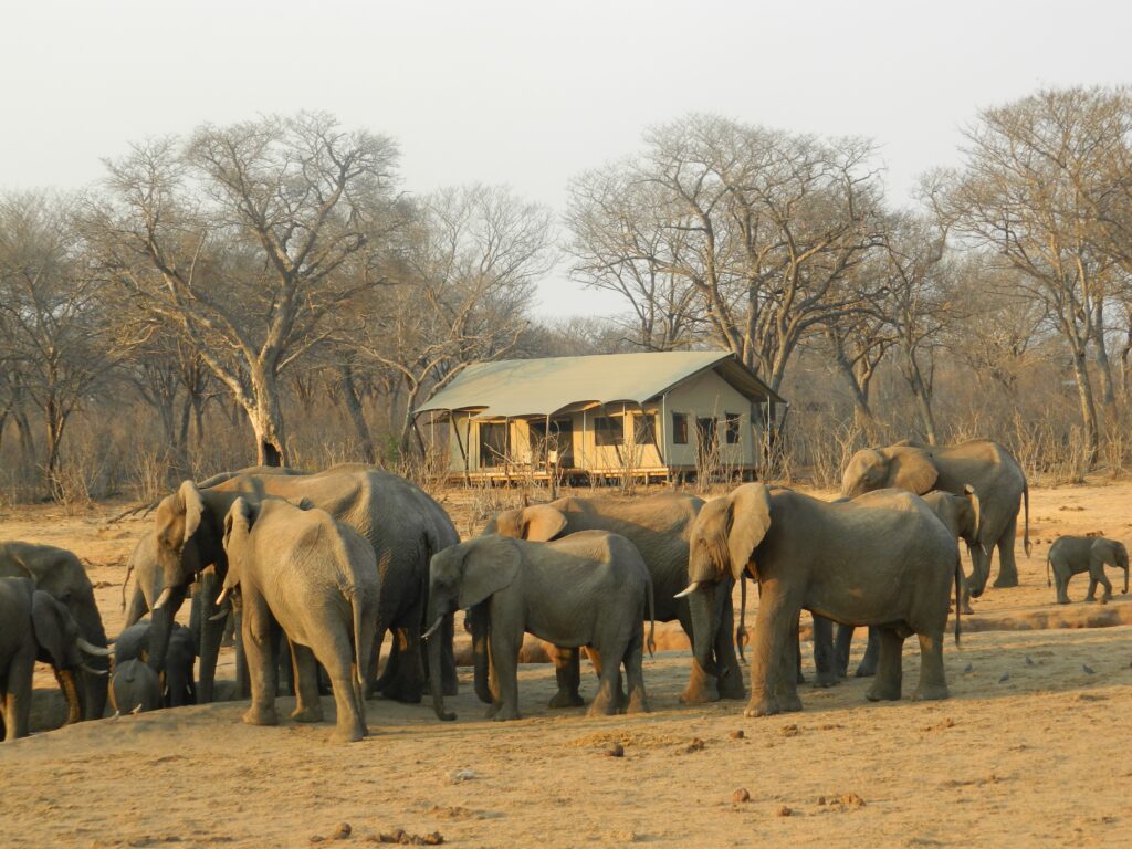 PLACES TO STAY NEAR THE NGORONGORO CRATER