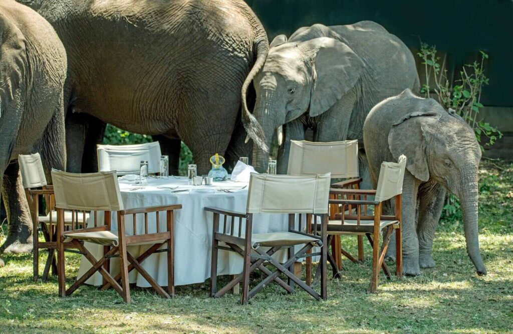 PLACES TO STAY NEAR THE NGORONGORO CRATER (2)