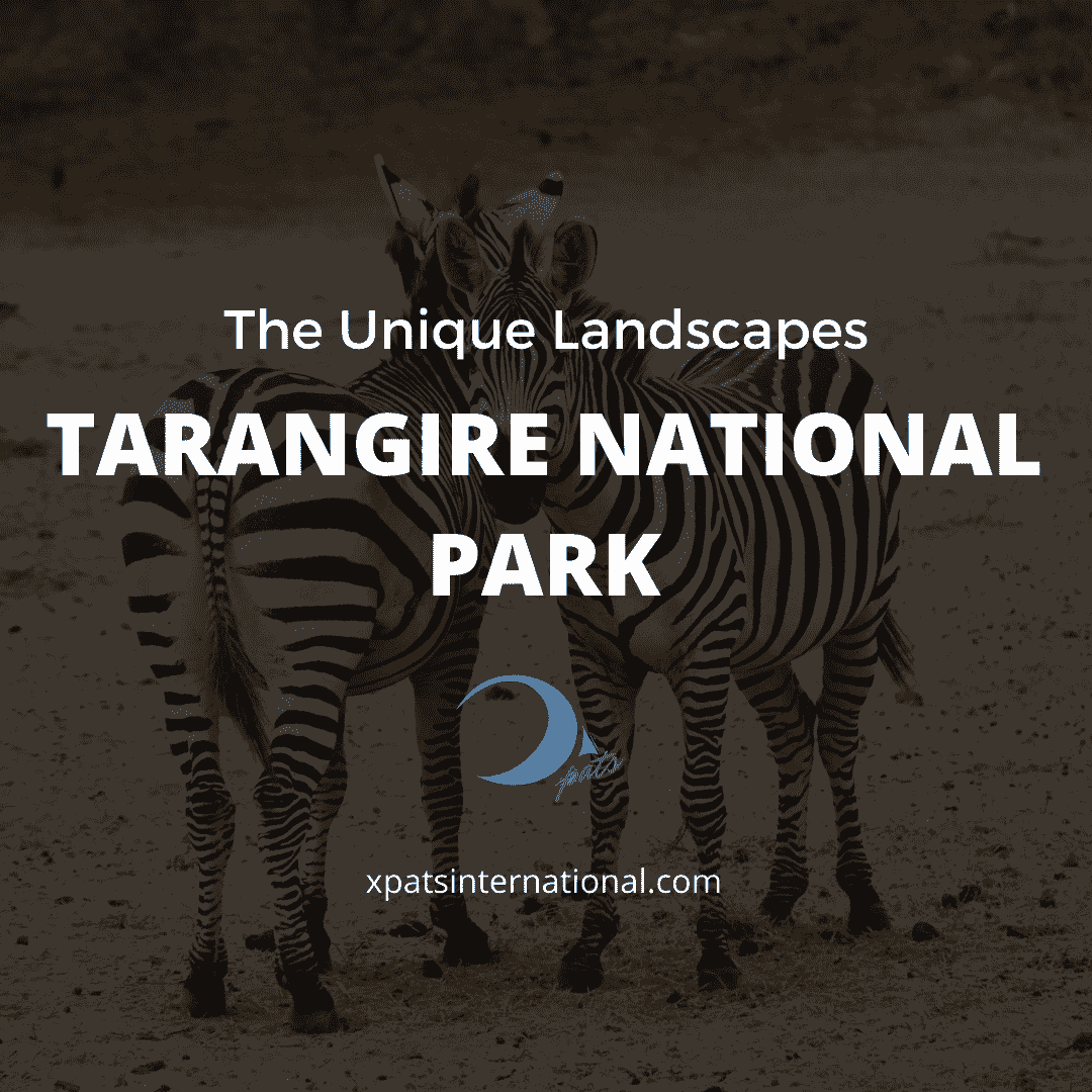 The Unique Landscapes Of Tarangire National Park Tanzania (2)