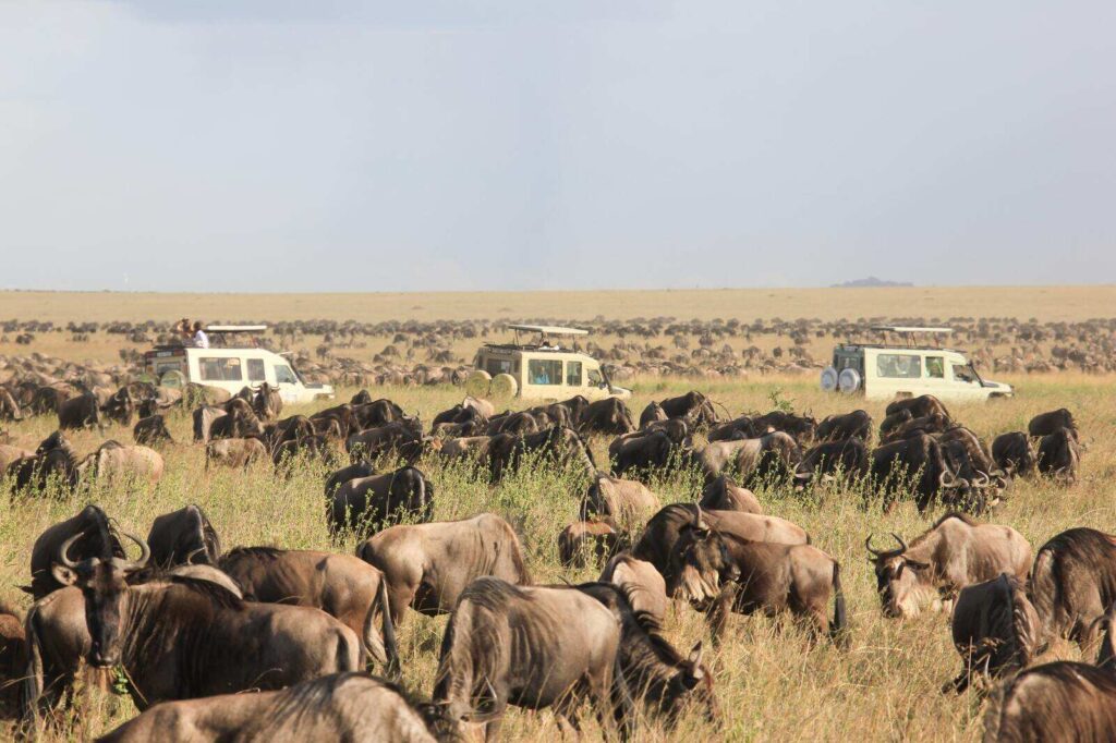 WAYS TO EXPERIENCE THE NGORONGORO CRATER