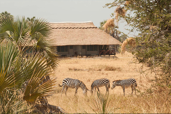 THE ATTRACTIONS OF MANYARA NATIONAL PARK