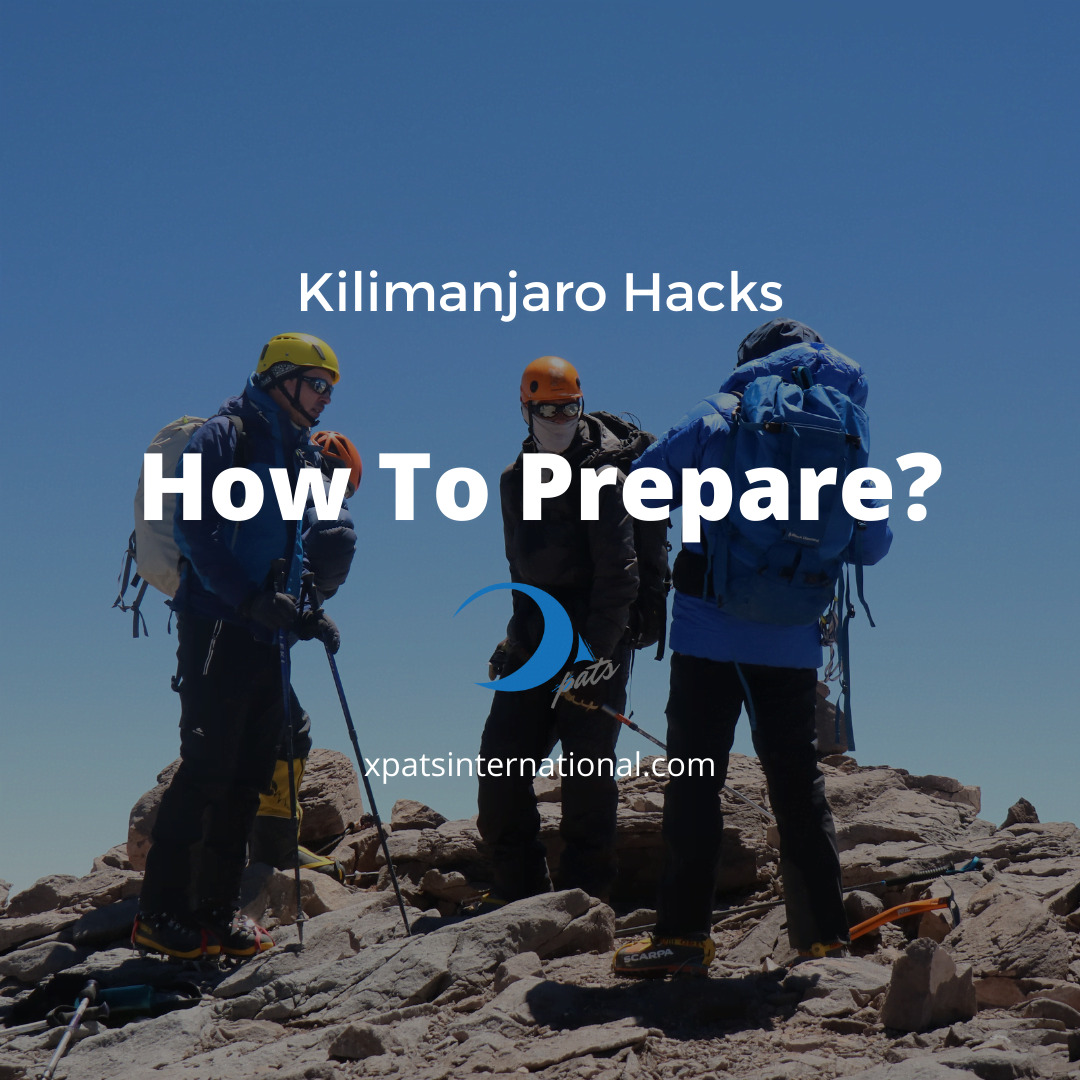 The #1 Beginner’s Guide To Fitness Training For Kilimanjaro Blog