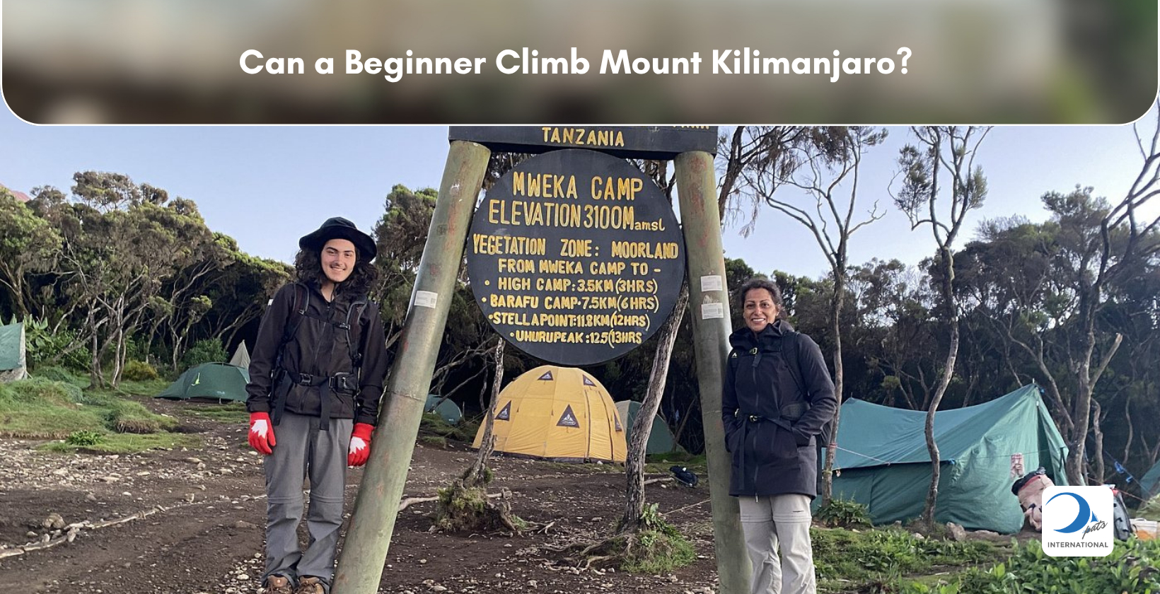 Hikers at Mweka Camp