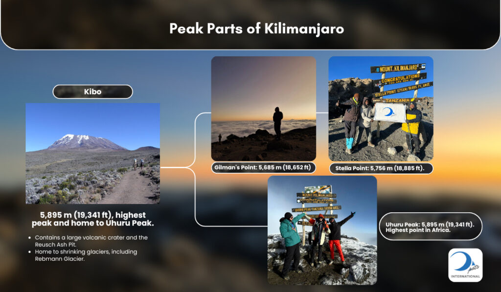 Hikers at Kilimanjaro's Summit Points