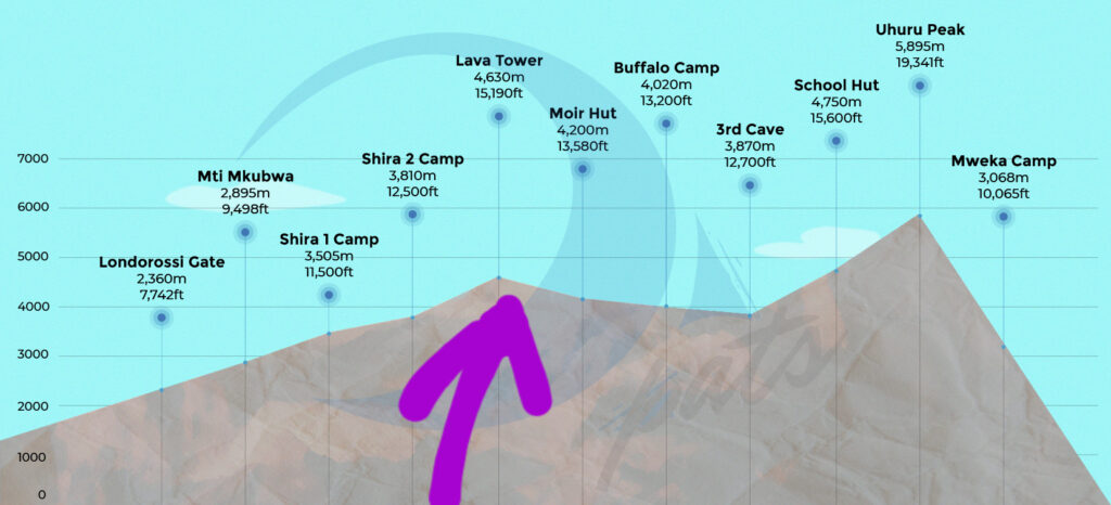 Northern Circuit Route Elevation Gain Map