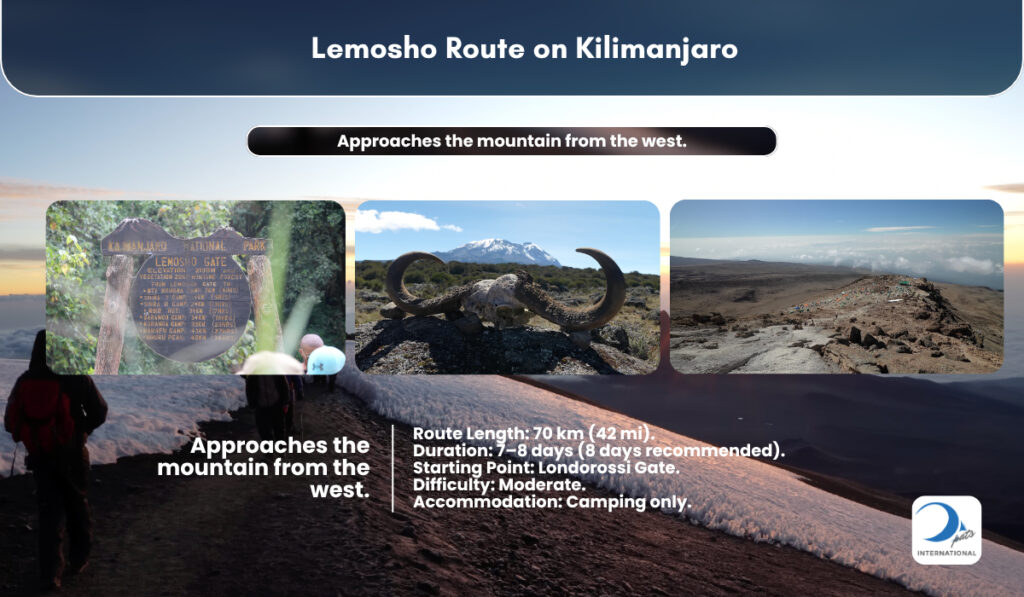 Mount Kilimanjaro at Lemosho Gate