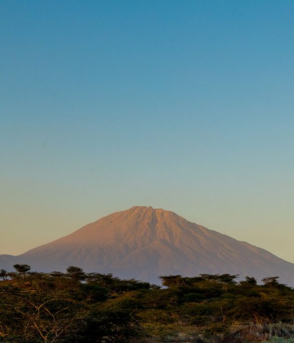 A view of mount meru from Arusha