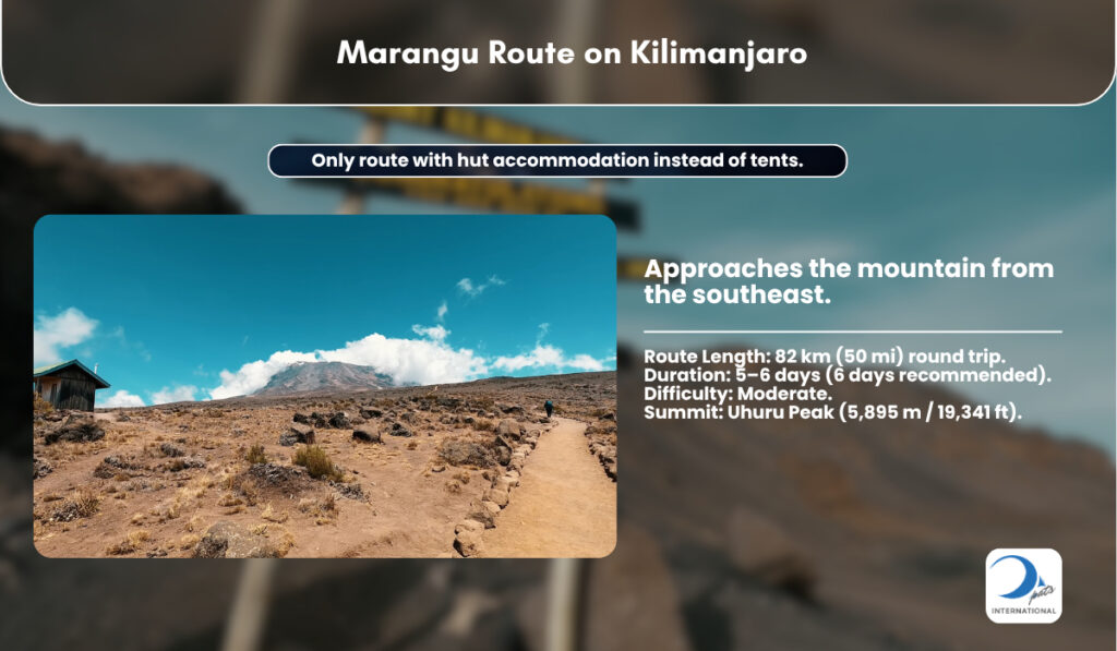 Trail on Marangu Route