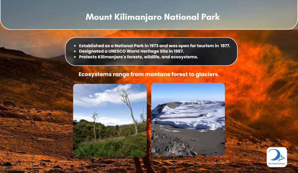 Kilimanjaro Glacier and Montane Forest