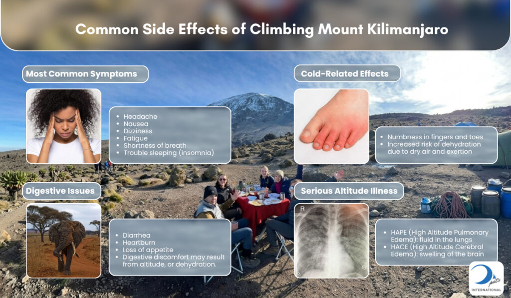 Kilimanjaro at Shira 1 Camp