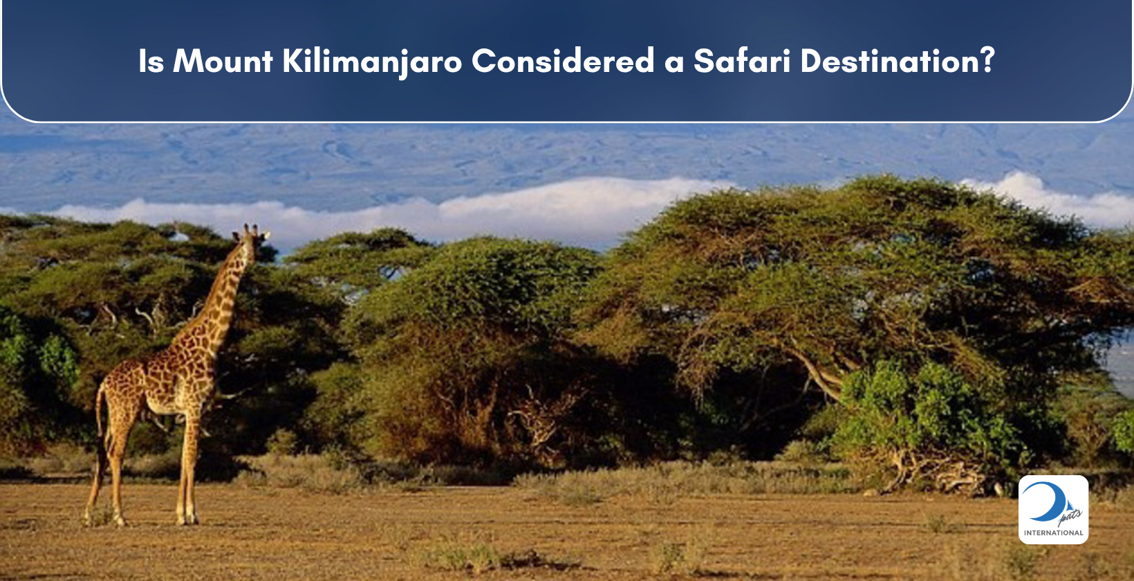 Kilimanjaro from Amboseli National Park