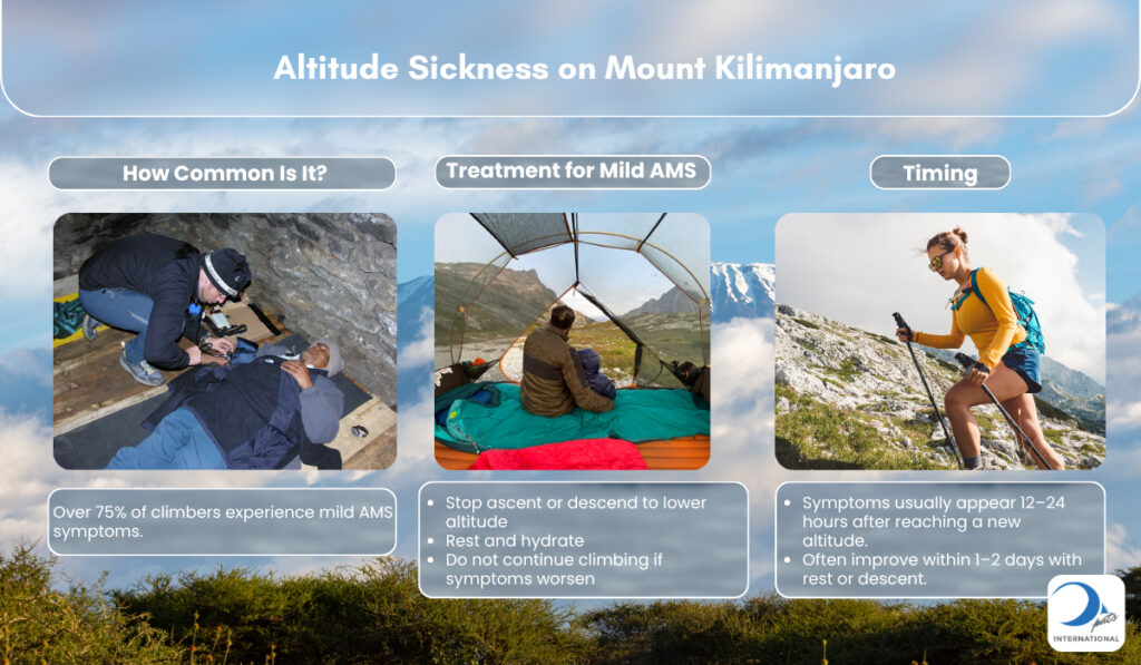 Base View of Mount Kilimanjaro