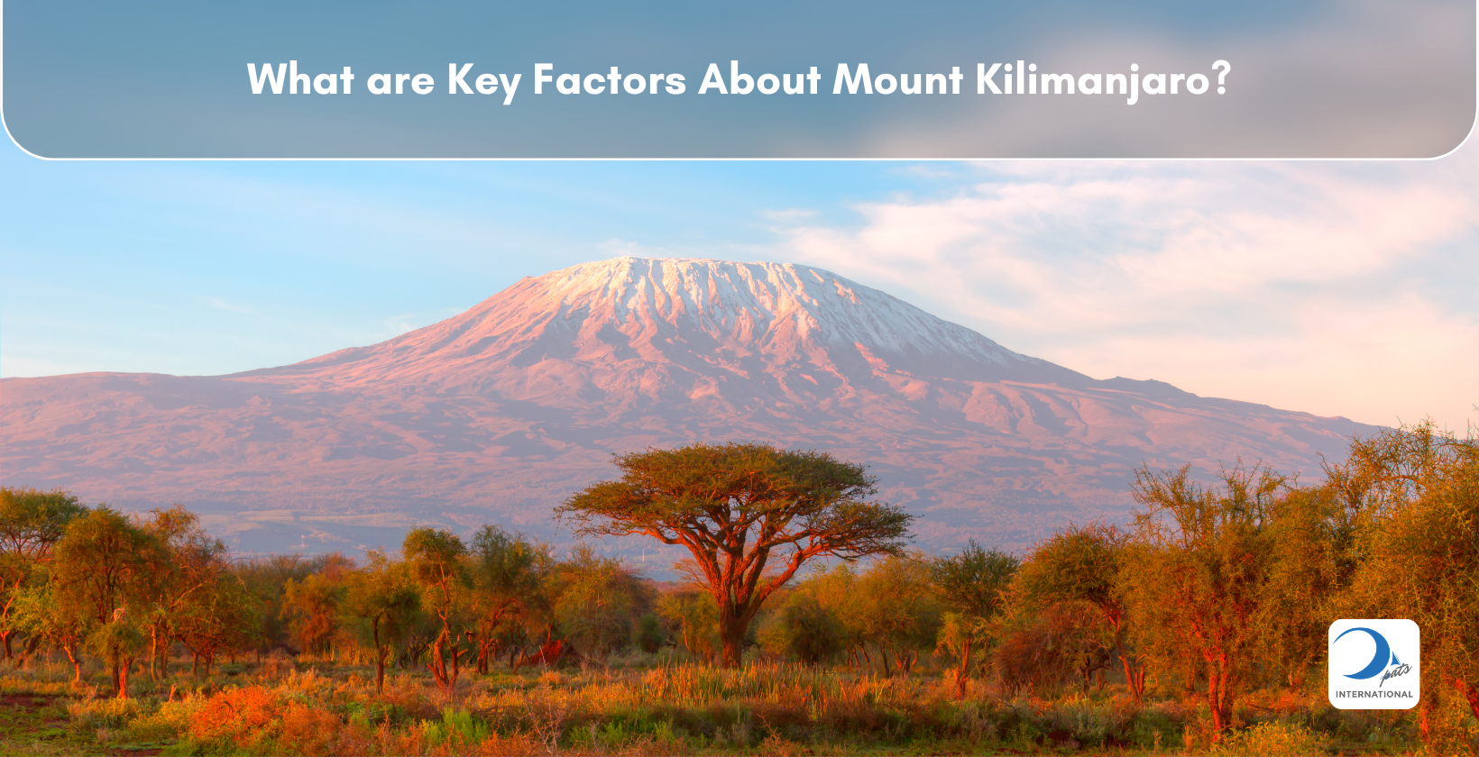 Kilimanjaro from Amboseli National Park
