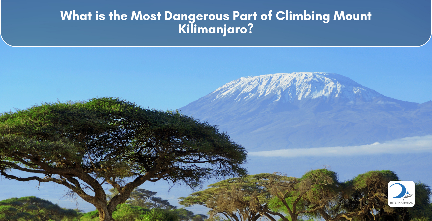 Kilimanjaro from Amboseli National Park